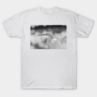 Black and white of Great egret T-Shirt